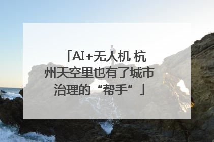 AI+无人机 杭州天空里也有了城市治理的“帮手”