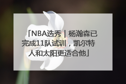 NBA选秀｜杨瀚森已完成11队试训，凯尔特人和太阳更适合他