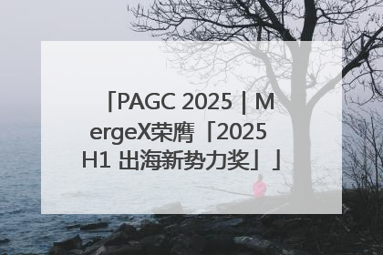 PAGC 2025｜MergeX荣膺「2025 H1 出海新势力奖」