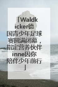 Waldkicker德国青少年足球赛圆满闭幕，指定营养伙伴inne因你陪伴少年前行