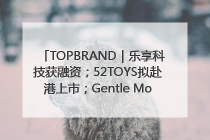 TOPBRAND｜乐享科技获融资；52TOYS拟赴港上市；Gentle Monster合作谷歌；Valentino传播官离职